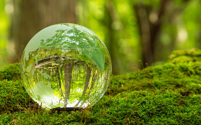 ReSaltZ Tea Forest 50ml リソルツ ティーフォレスト Eau De